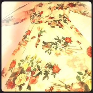 Belle Sky sheer floral dress